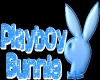 760907playboybunny1.jpg