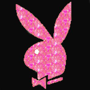 playboybunny4.jpg